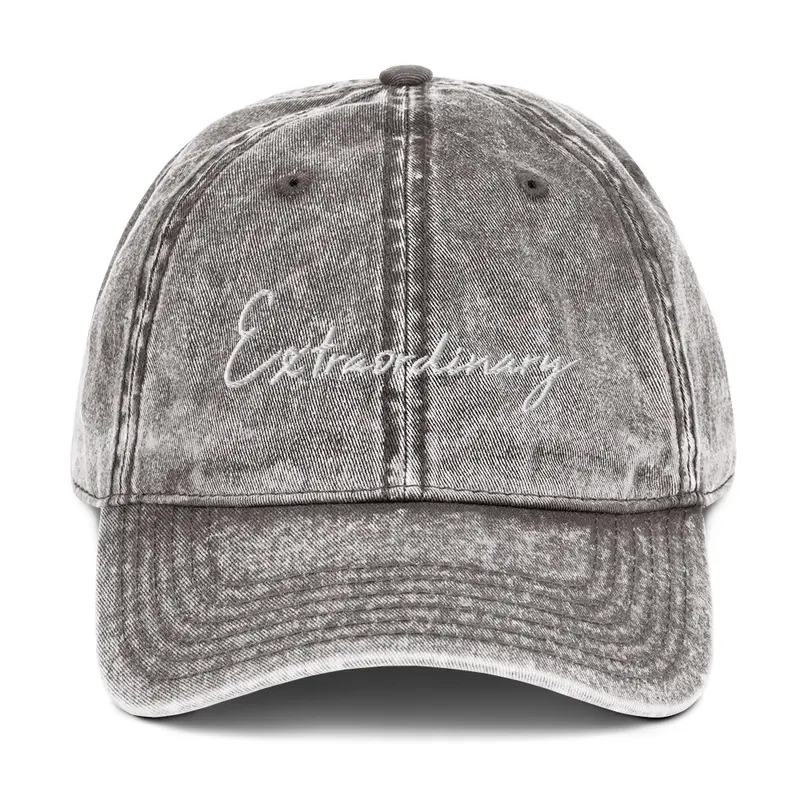 Extraordinary Vintage Dad Hat - Grey